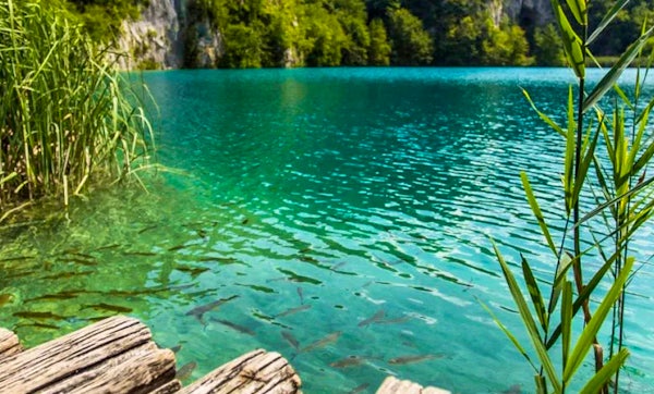 Ultimate Guide National Parks Croatia